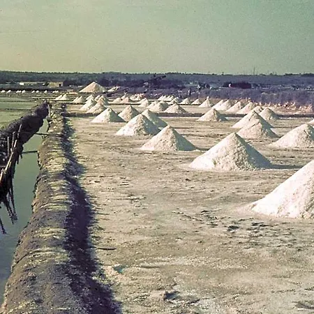 Le Saline
