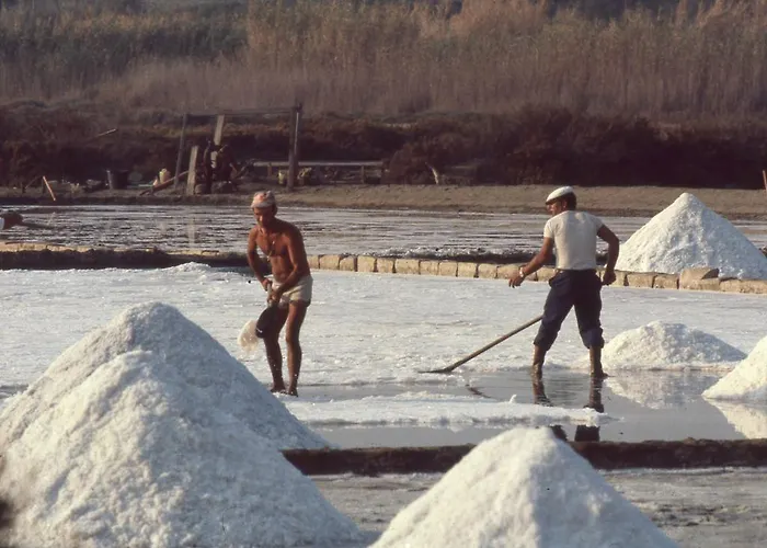 Le Saline לינה וארוחת בוקר סירקוזה