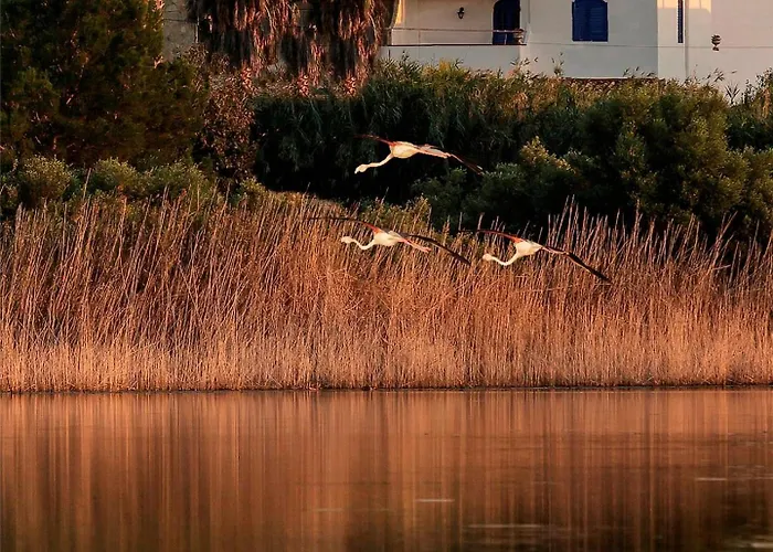 Bed & Breakfast Le Saline